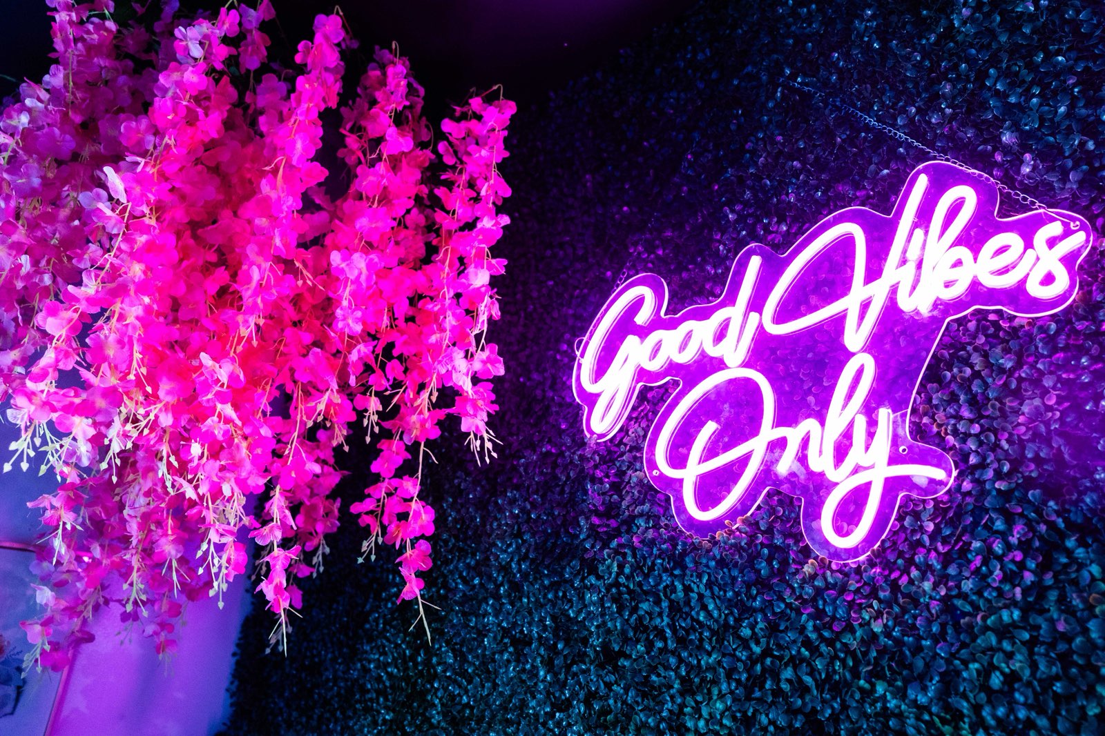 Good Vibes Only neon sign and pink flower wall inside the Ritual studio